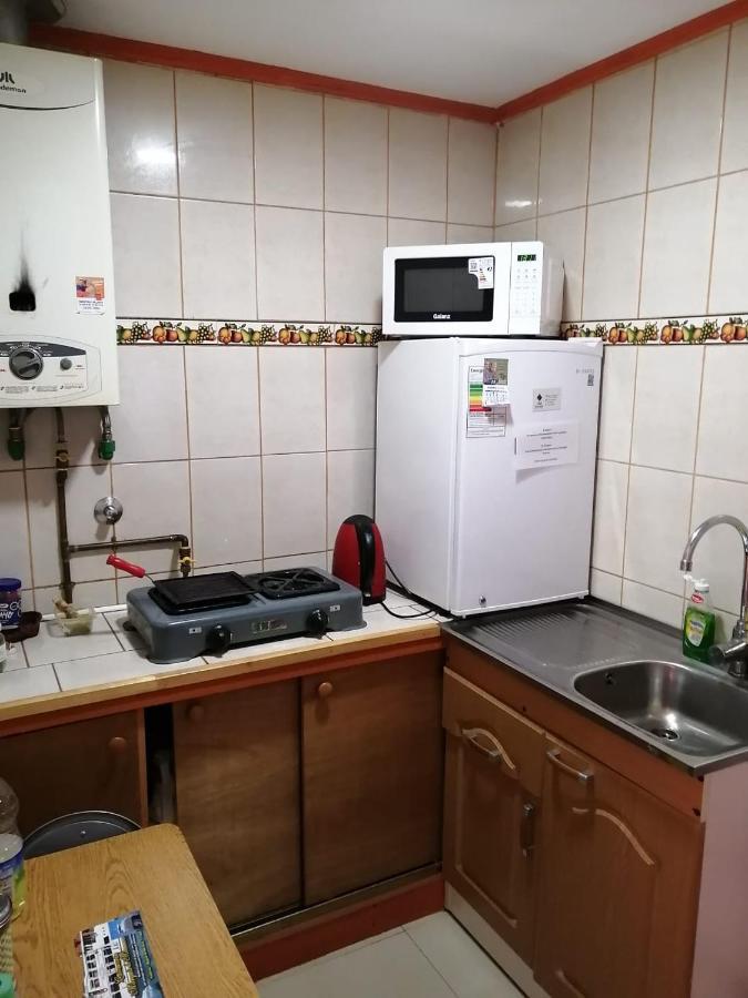 Bosque Valdiviano Apartment Zewnętrze zdjęcie