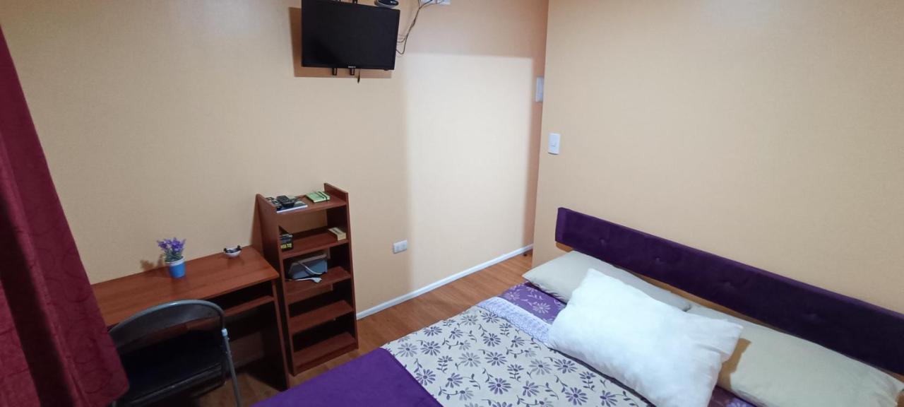 Bosque Valdiviano Apartment Zewnętrze zdjęcie