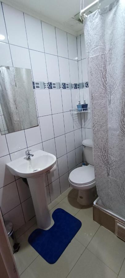 Bosque Valdiviano Apartment Zewnętrze zdjęcie