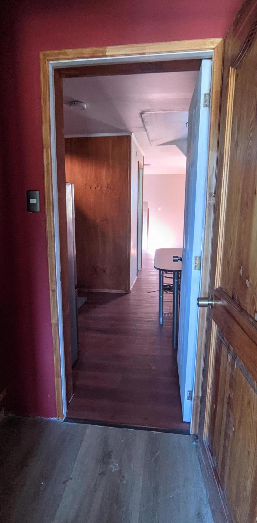 Bosque Valdiviano Apartment Zewnętrze zdjęcie